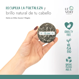 SHAMPOO BARRA ANTICASPA LEVERT