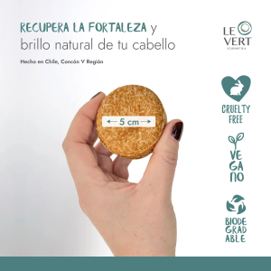 SHAMPOO BARRA CABELLO SECO LEVERT