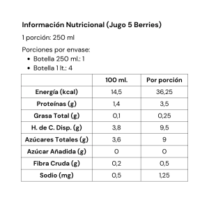 JUGO 5 BERRIES BERRYSUR 250 CC