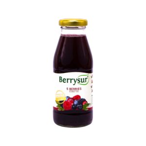 JUGO 5 BERRIES BERRYSUR 250 CC