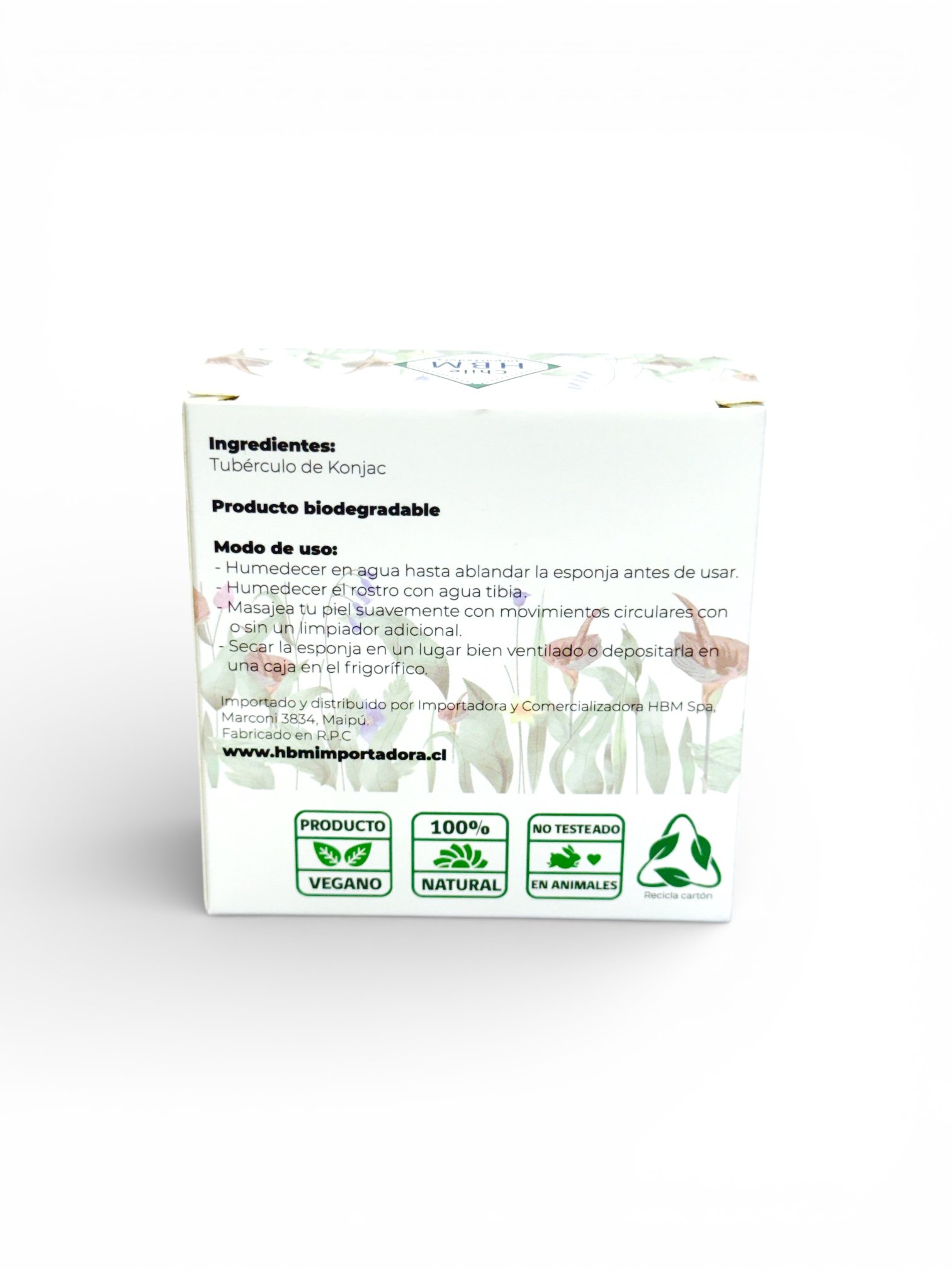 ESPONJA FACIAL DE KONJAC (S4) ESPONJA FACIAL DE KONJAC (S4)