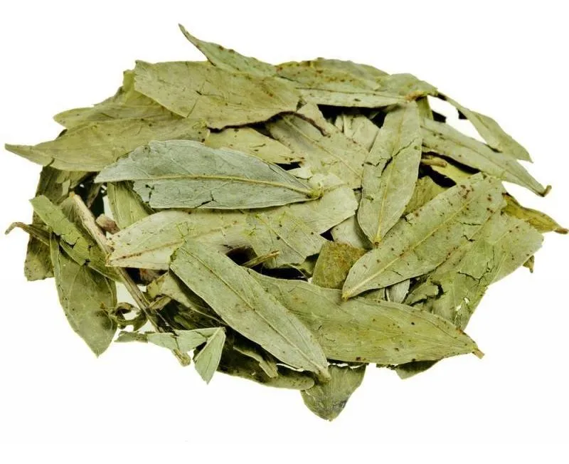 HOJAS DE SEN - 30 g